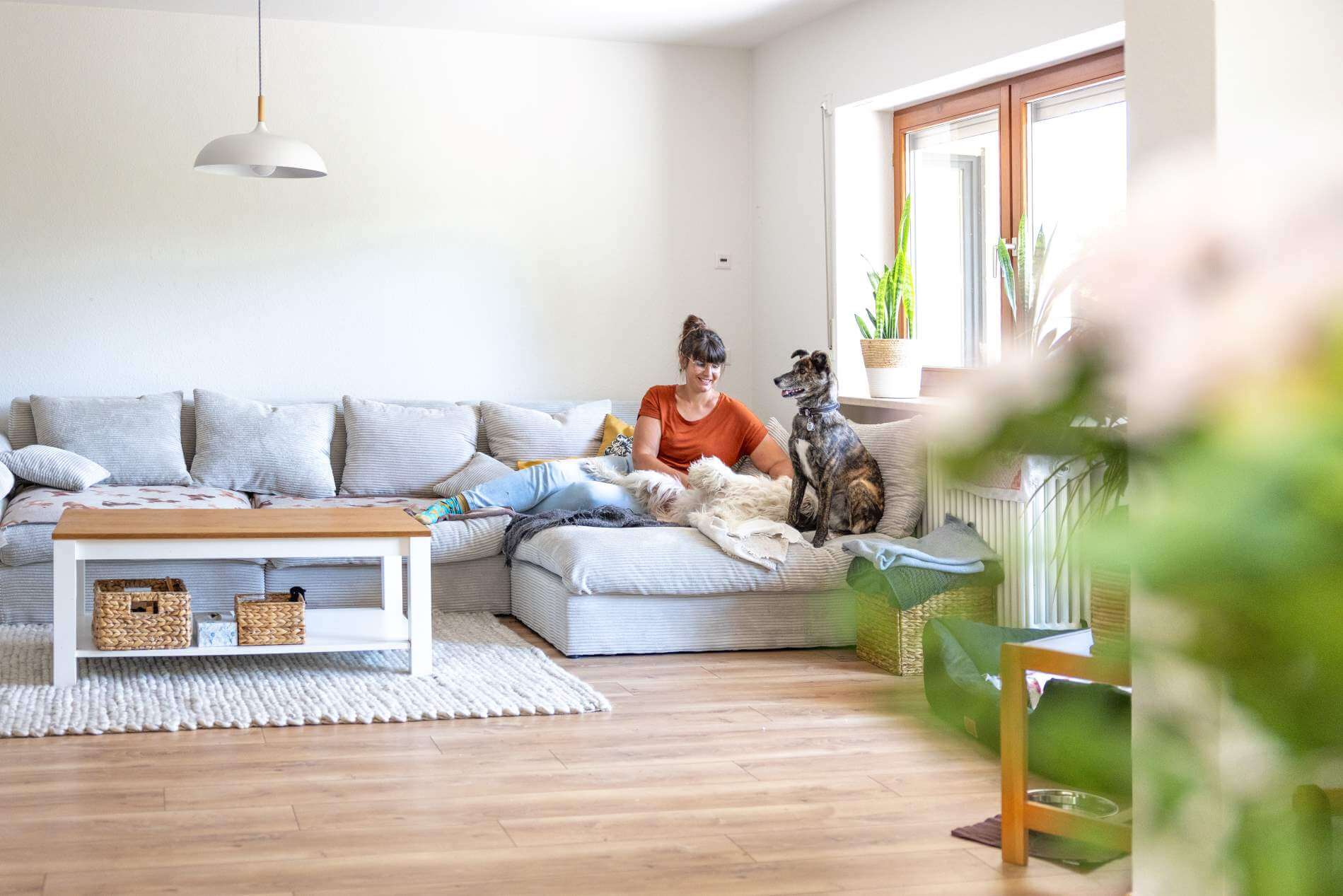 Hundebetreuung3