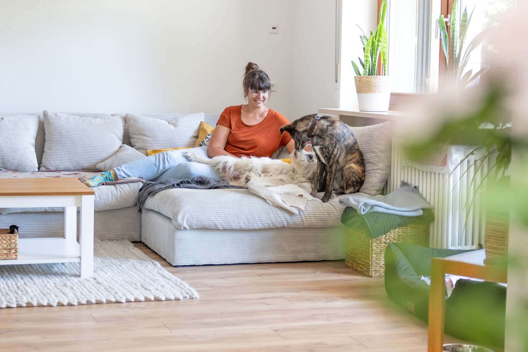 Hundebetreuung4