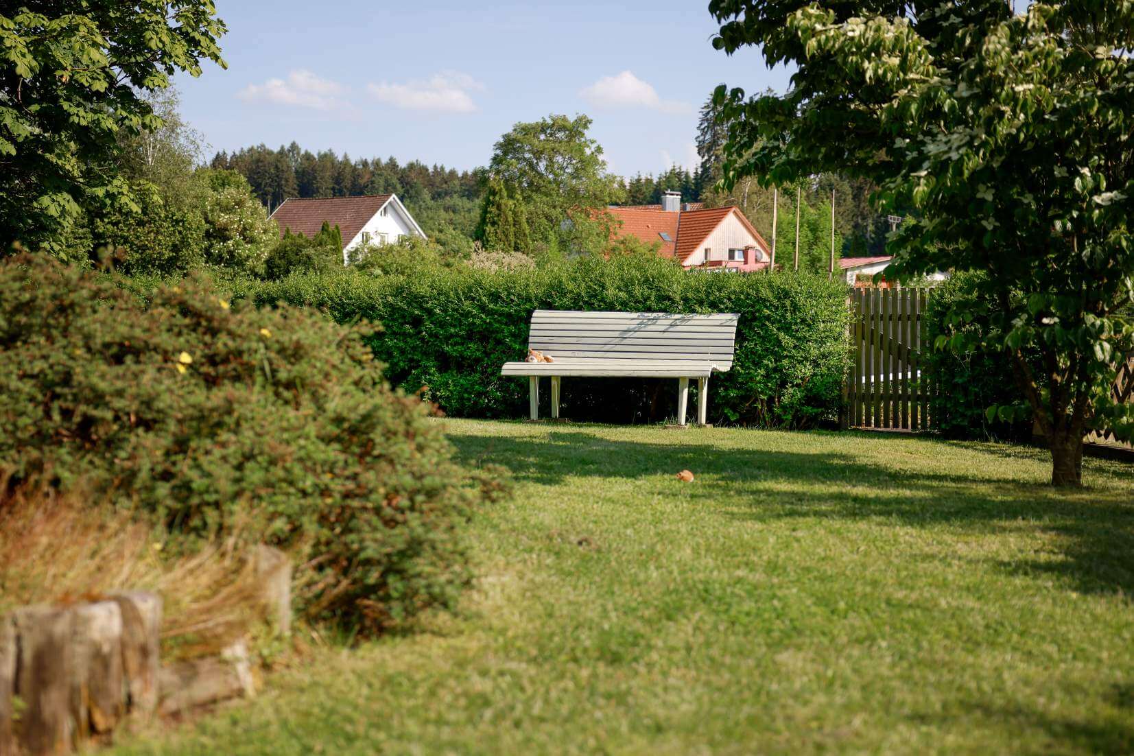 Hundebetreuung7