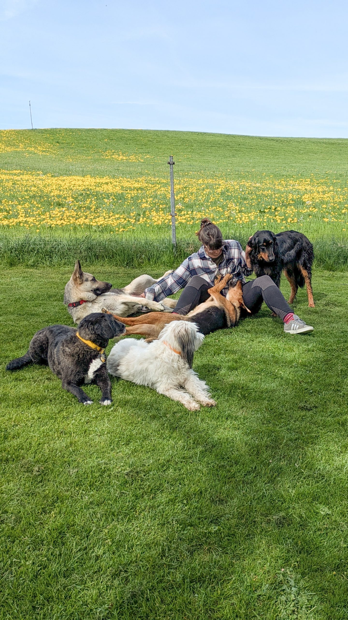 PXL_20250416_094313750