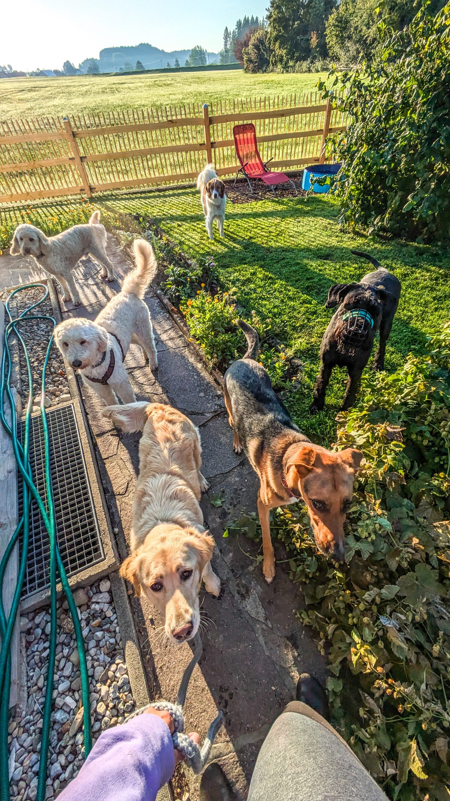 PXL_20250826_053024757