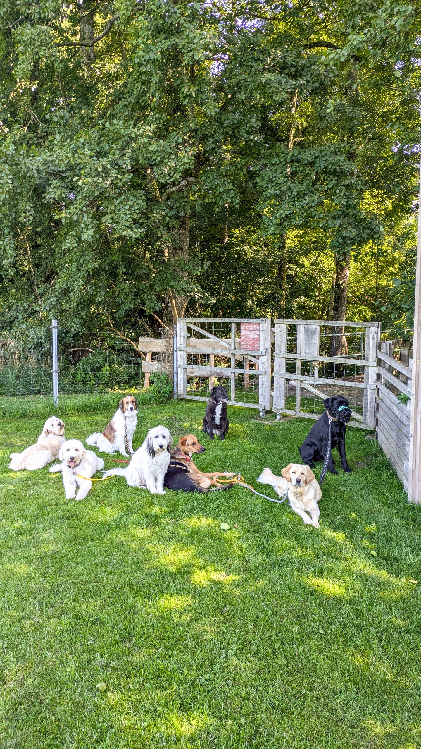 PXL_20250826_093705490.MP