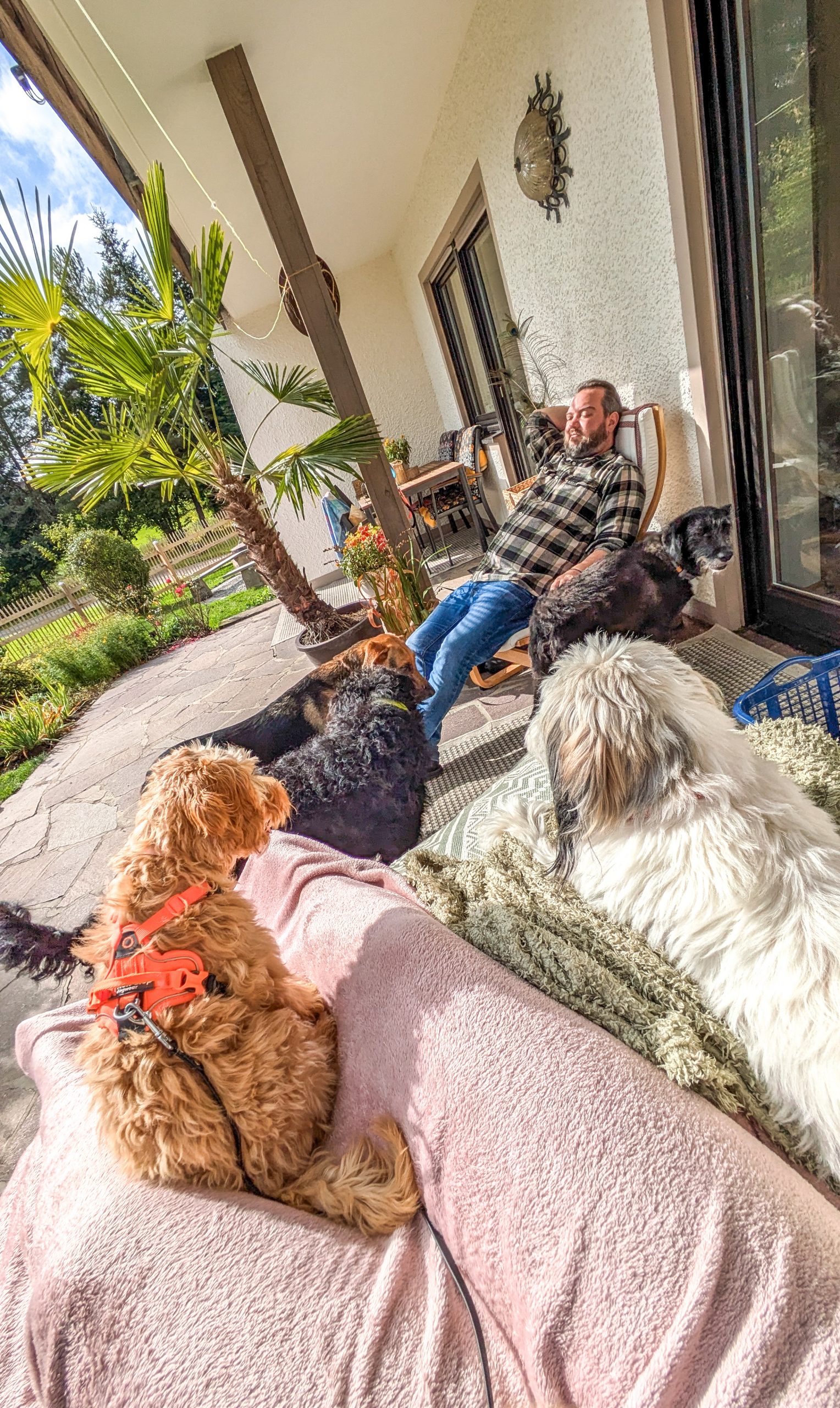 PXL_20250926_125809411