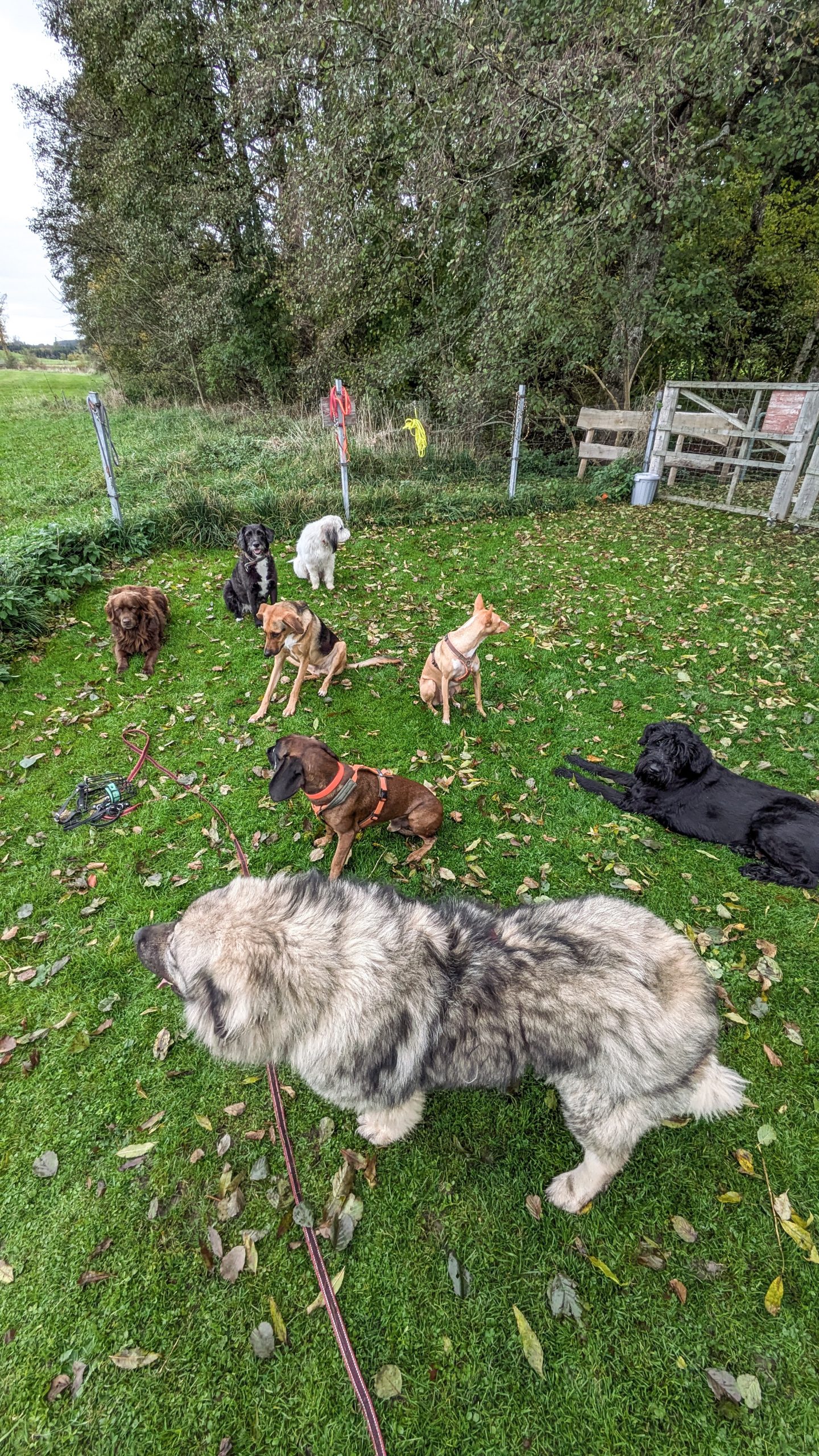 PXL_20251021_094406978