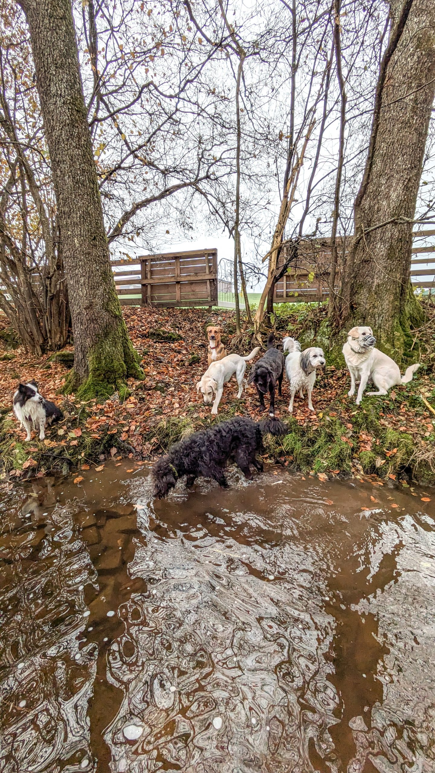 PXL_20251107_113947351