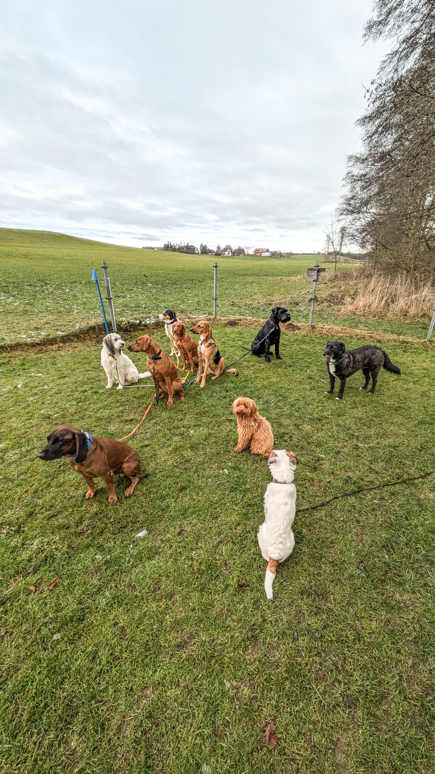 PXL_20251129_103800542