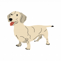CBH_Dachshund_sand