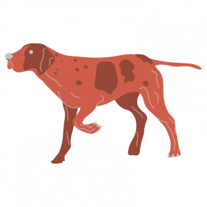 CBH_Pointer_rot_gespiegelt CBH_Pointer_rot_gespiegelt